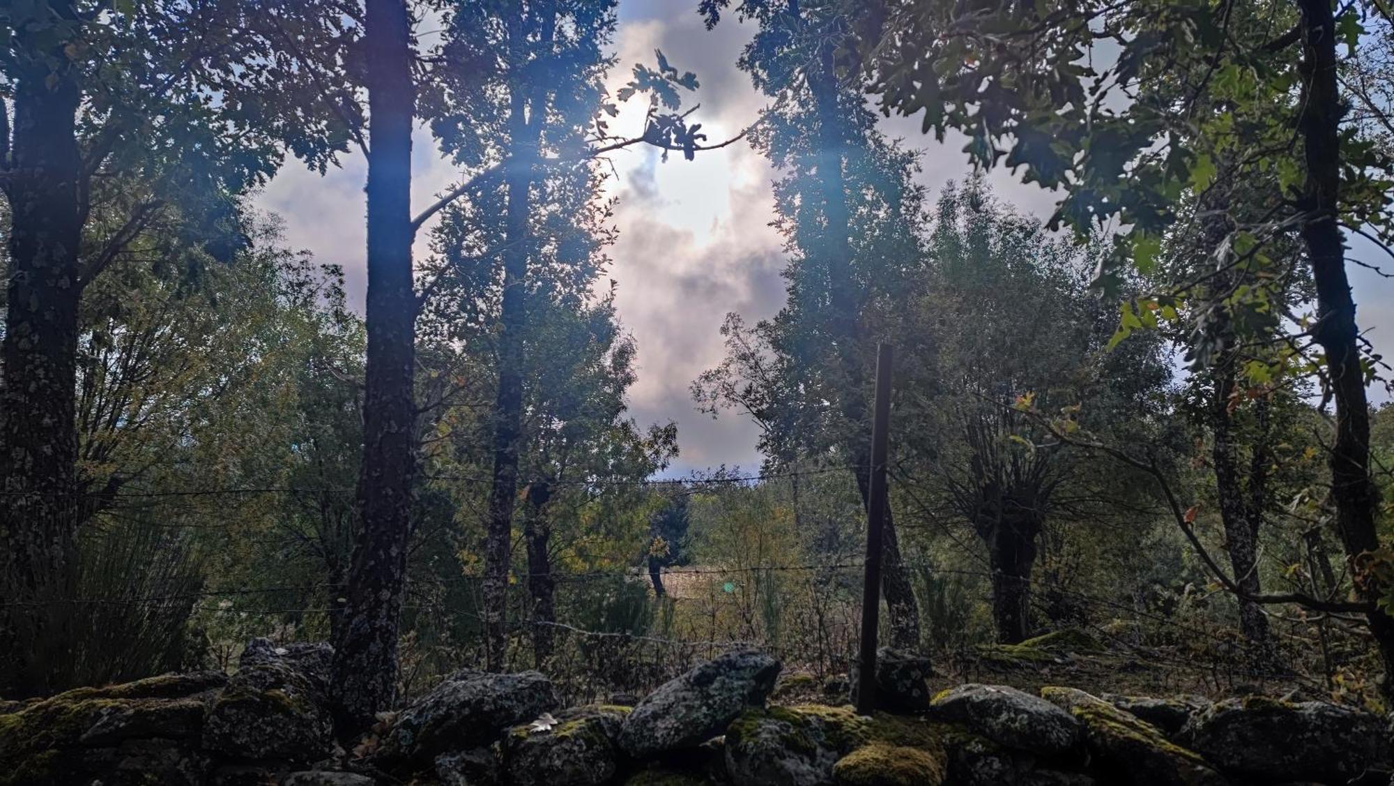 Affittacamere El Rincon De Gredos Navaluenga Esterno foto
